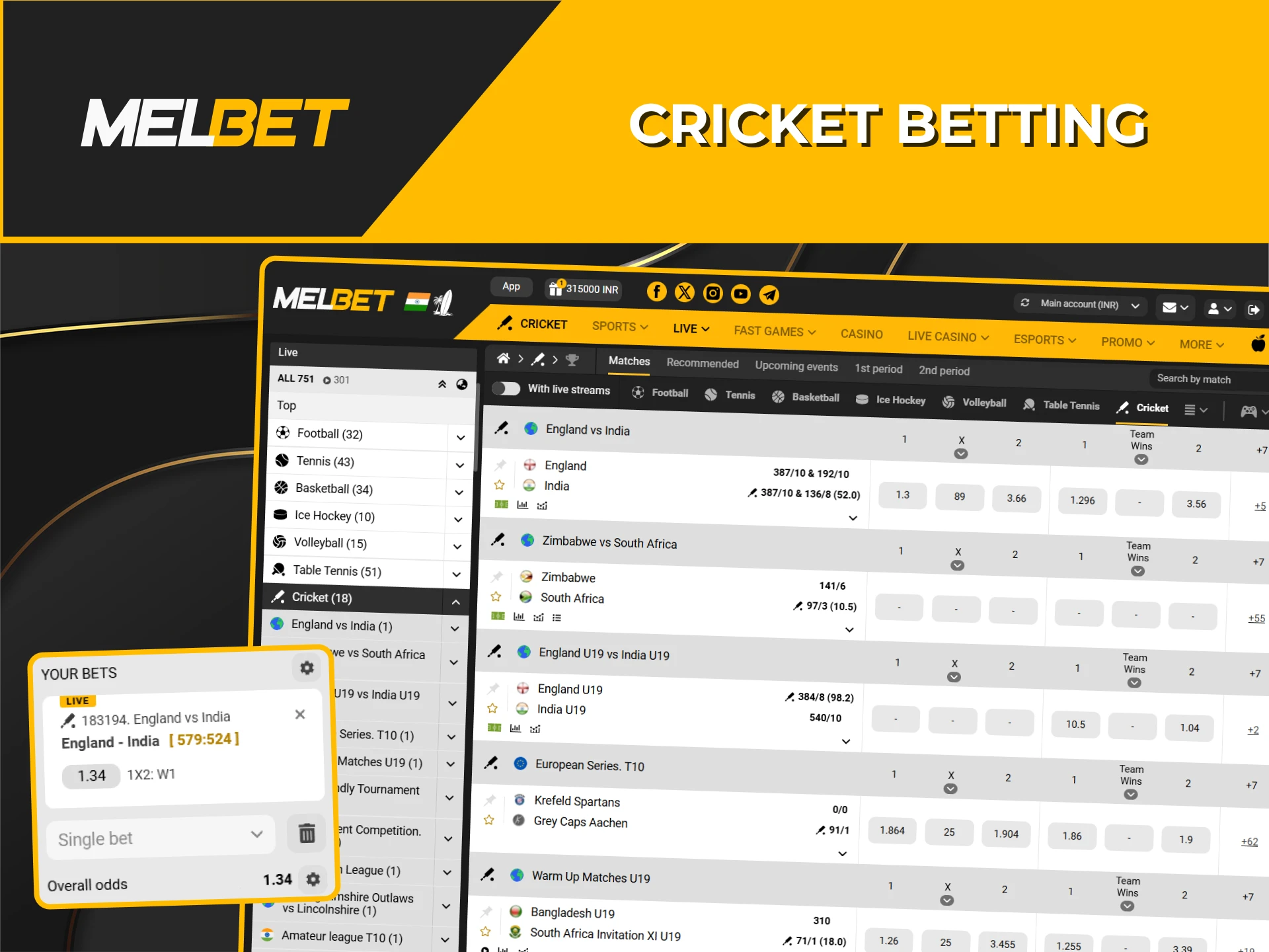 Cricket betting is available on the Melbet platform.